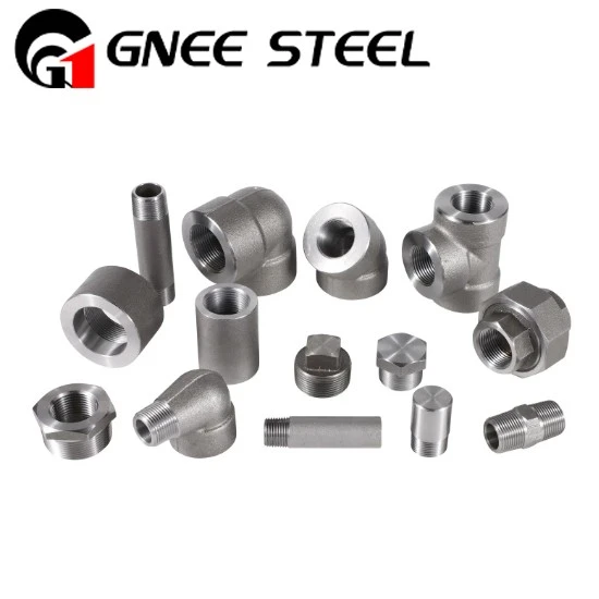 Super Duplex Steel S32760 Forged Fittings